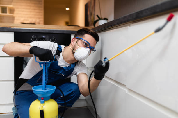 Best Best Pest Control Companies  in Waxahachie, TX