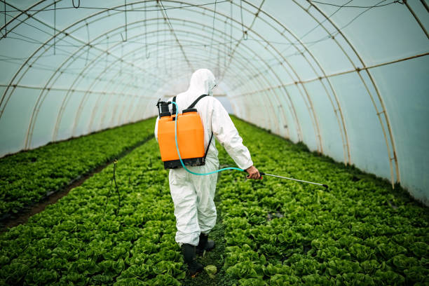 Reliable Waxahachie, TX Pest Control Solutions