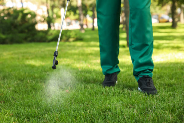 Best Best Pest Control Companies  in Waxahachie, TX
