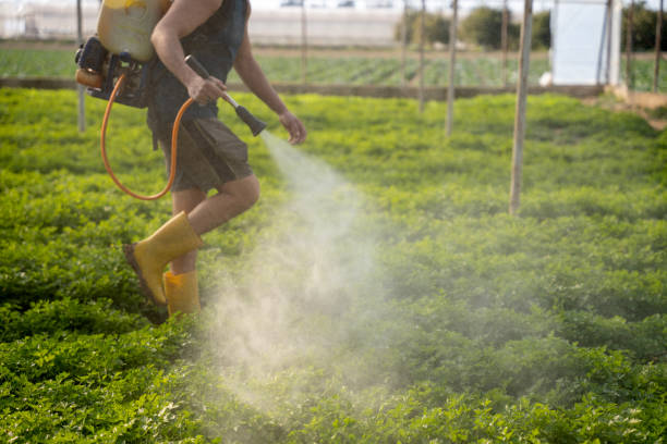 Best Exterminator Services  in Waxahachie, TX