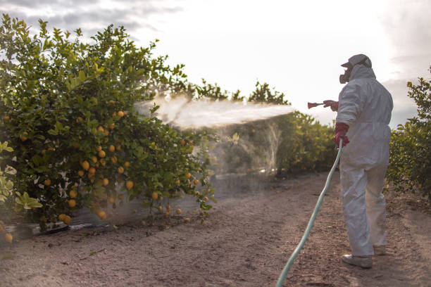 Best Flea Control Services  in Waxahachie, TX