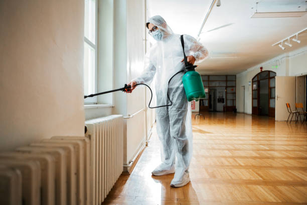 Best Termite Control Services  in Waxahachie, TX