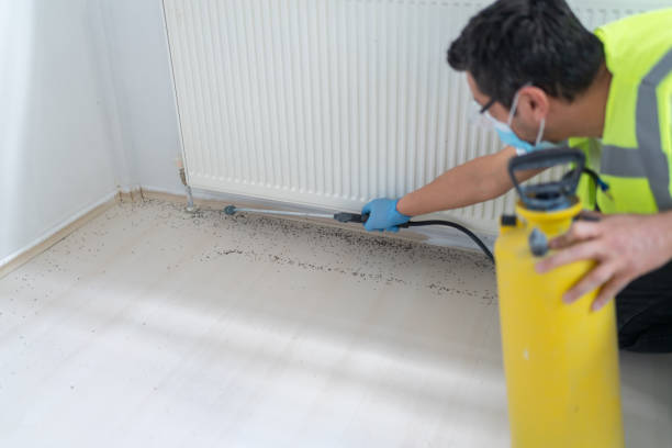 Insect Control in Waxahachie, TX