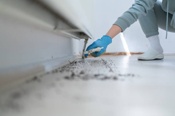 Best Pest Prevention Services  in Waxahachie, TX