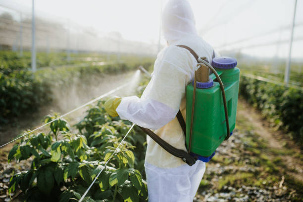 Pest Prevention Services in Waxahachie, TX